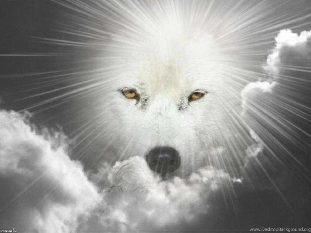 BLACK WHITE WOLF FANTASY WALLPAPER (