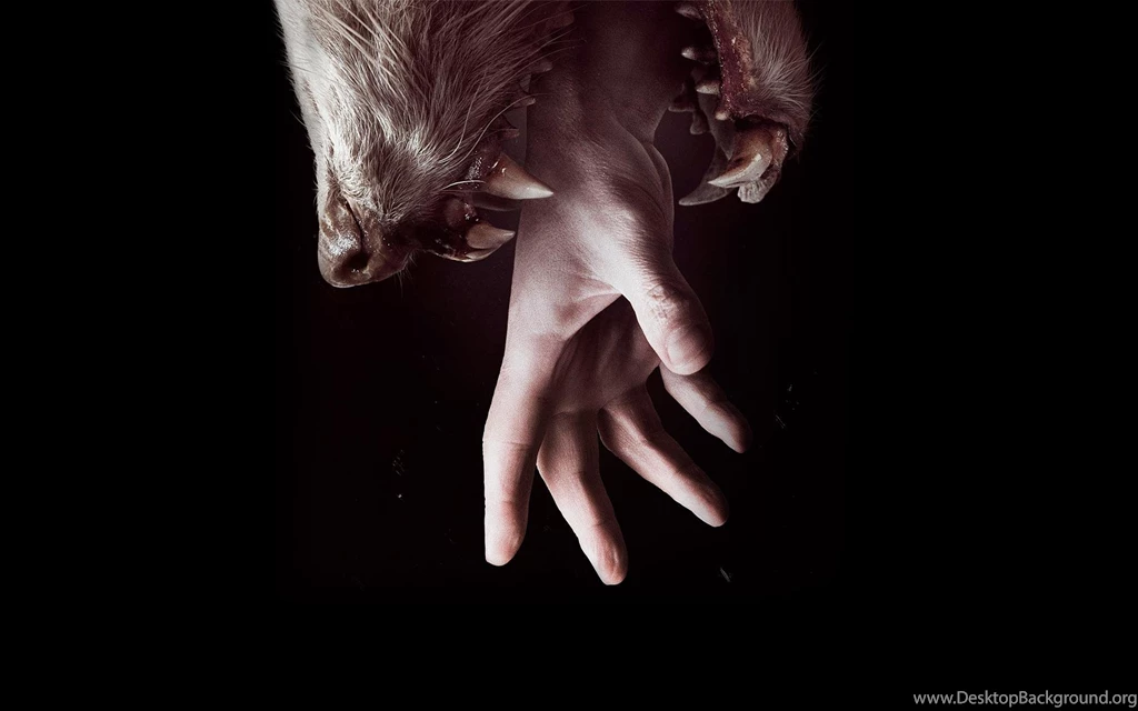 Wolf Fantasy (