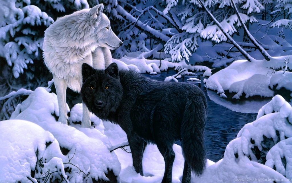 805 Wolf HD Wallpapers