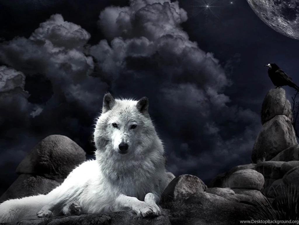 Night Wolf Fantasy Wallpapers