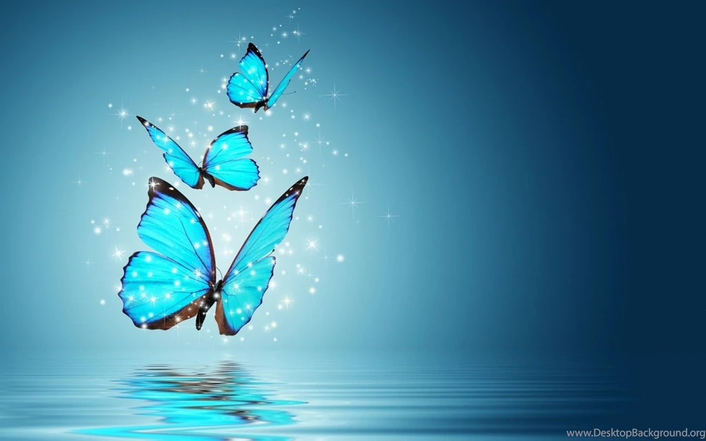 Butterfly Wallpapers Collection (46+)