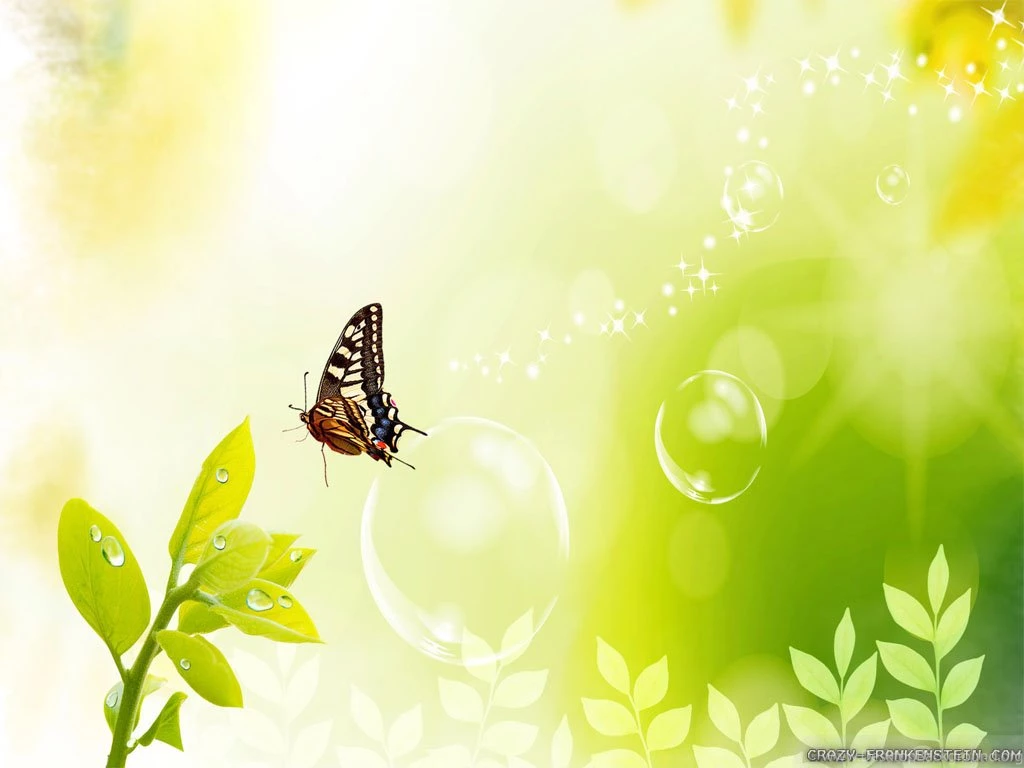 Spring Butterfly HD Backgrounds Wallpapers 7767 HD Wallpapers Site