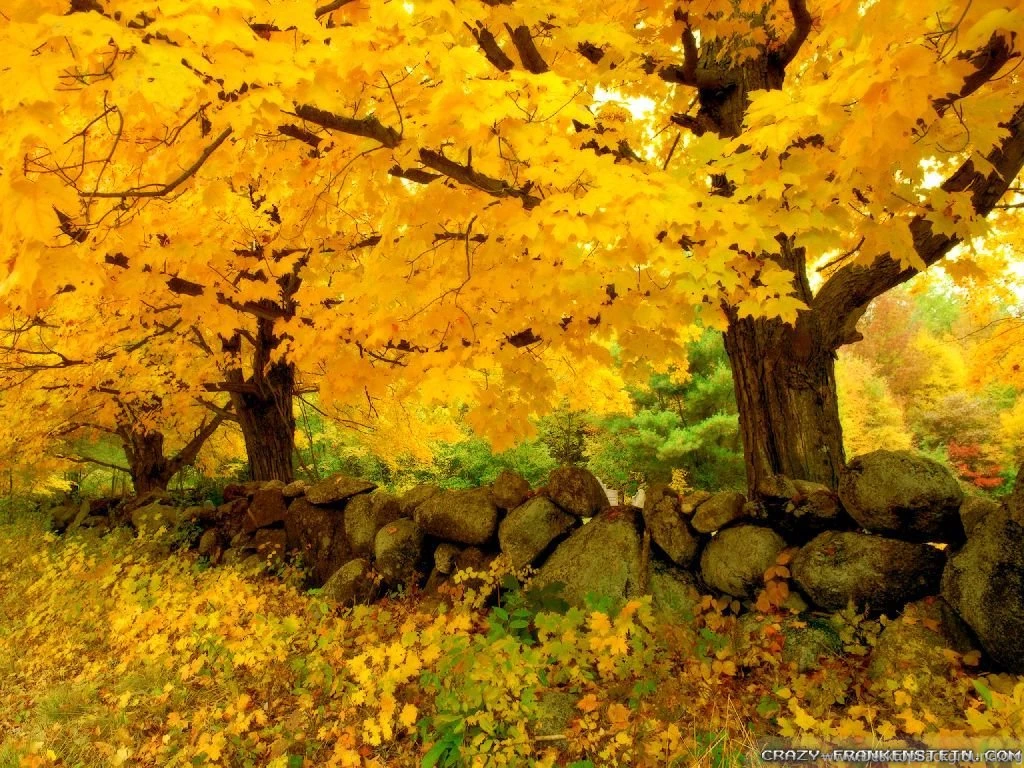 Autumn Scenes Wallpapers Seasonal Crazy Frankenstein