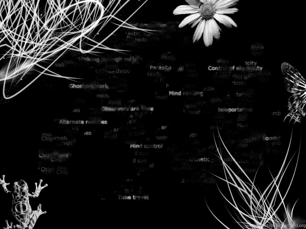 Dragoon's FRINGE Wallpapers