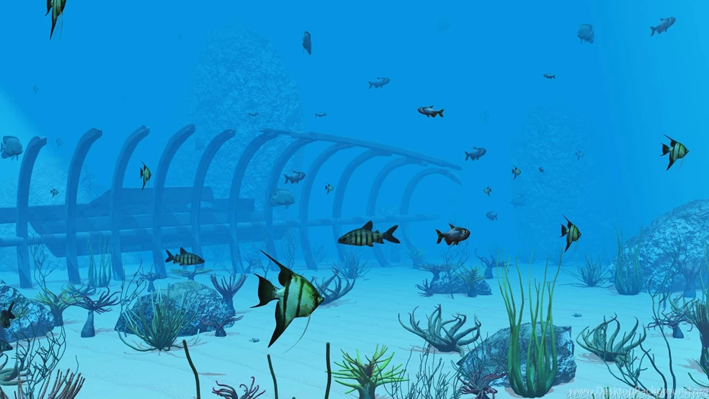 Under Sea Wallpapers 175278