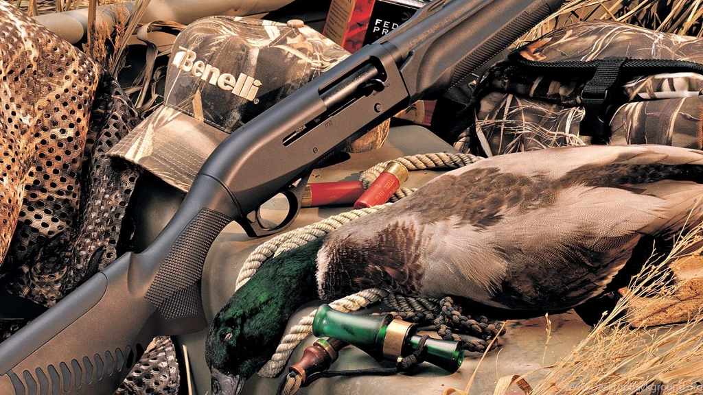 Hunting, Birds, Rifle, 1920x1080 HD Wallpapers And FREE Stock Photo