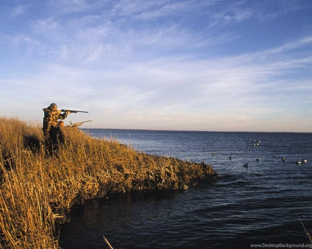 Duck Hunting Backgrounds Wallpapers Cave
