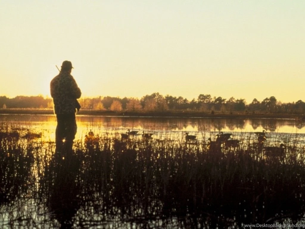 Duck Hunting Backgrounds Wallpapers Cave