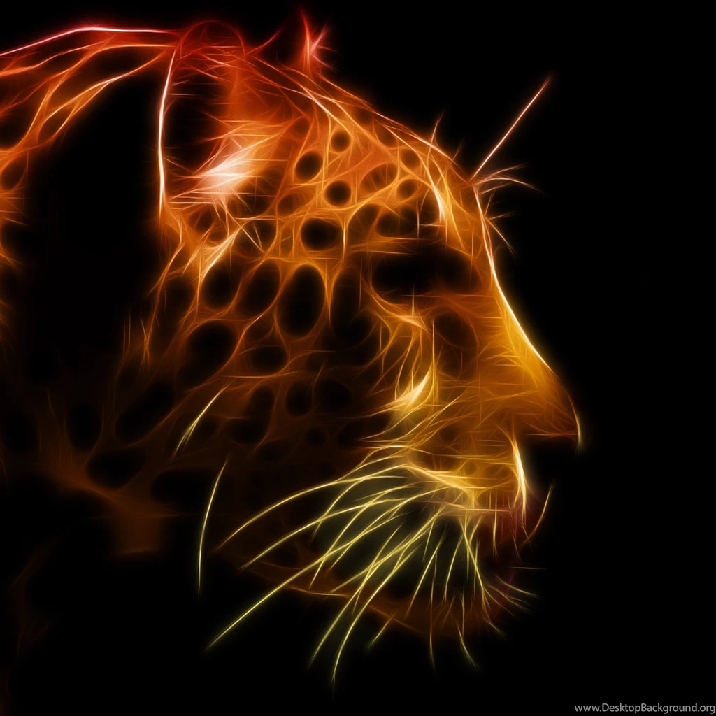 Very Cool Ipad Wallpapers 2048x2048PX ~ Very Cool Wallpapers ...