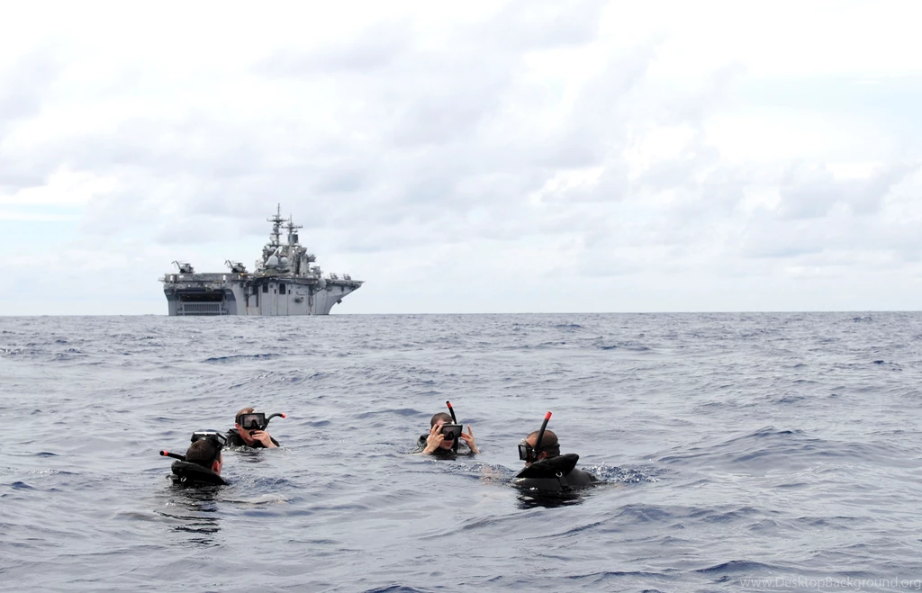 File:US Navy 091023 N 0890S 090 Search And Rescue Swimmers From ...