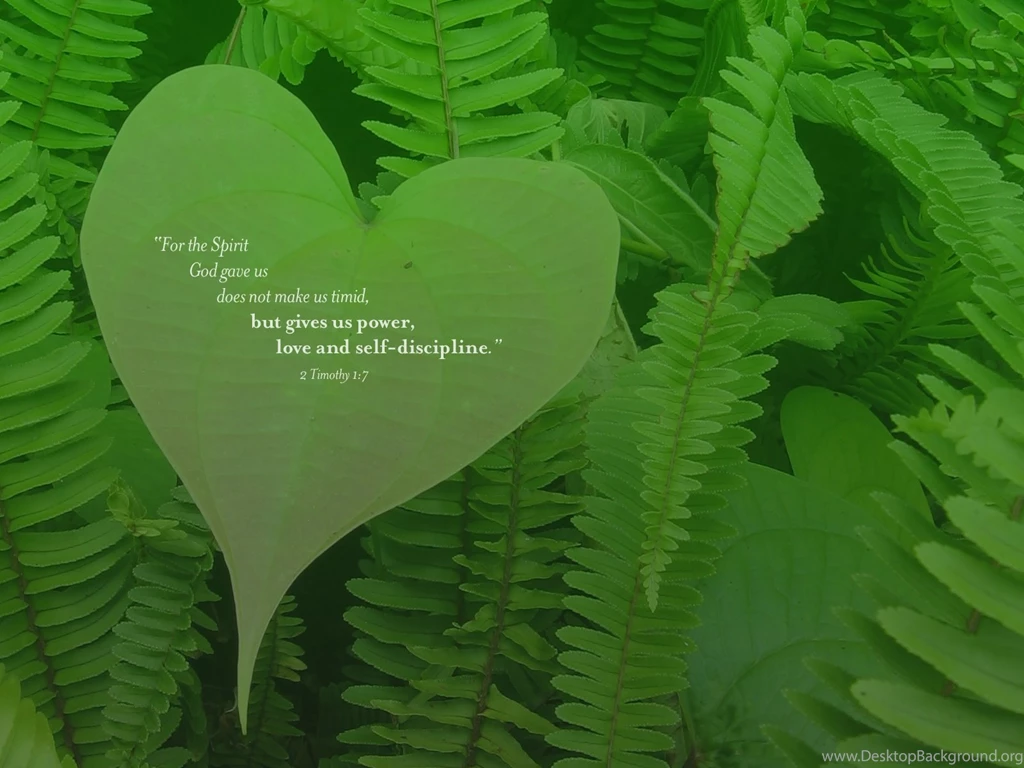 2 Timothy 1:7 Power, Love And Self discipline Wallpapers ...