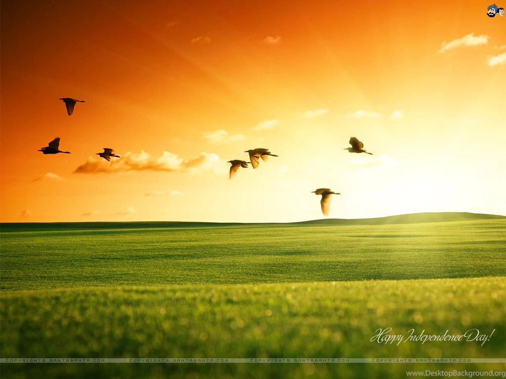 Independence Day Wallpapers