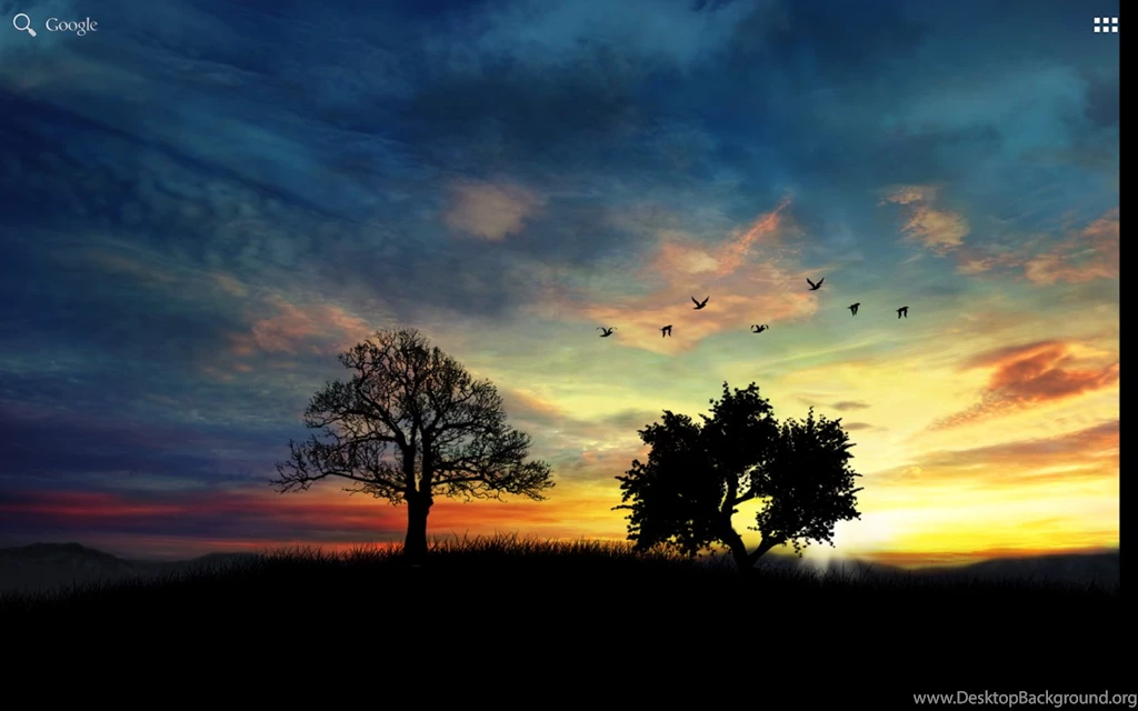 Day Night Live Wallpapers (All) Android Apps On Google Play