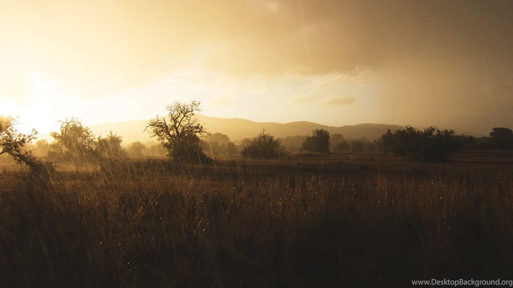 Gallery For > Beautiful Rainy Day Wallpapers