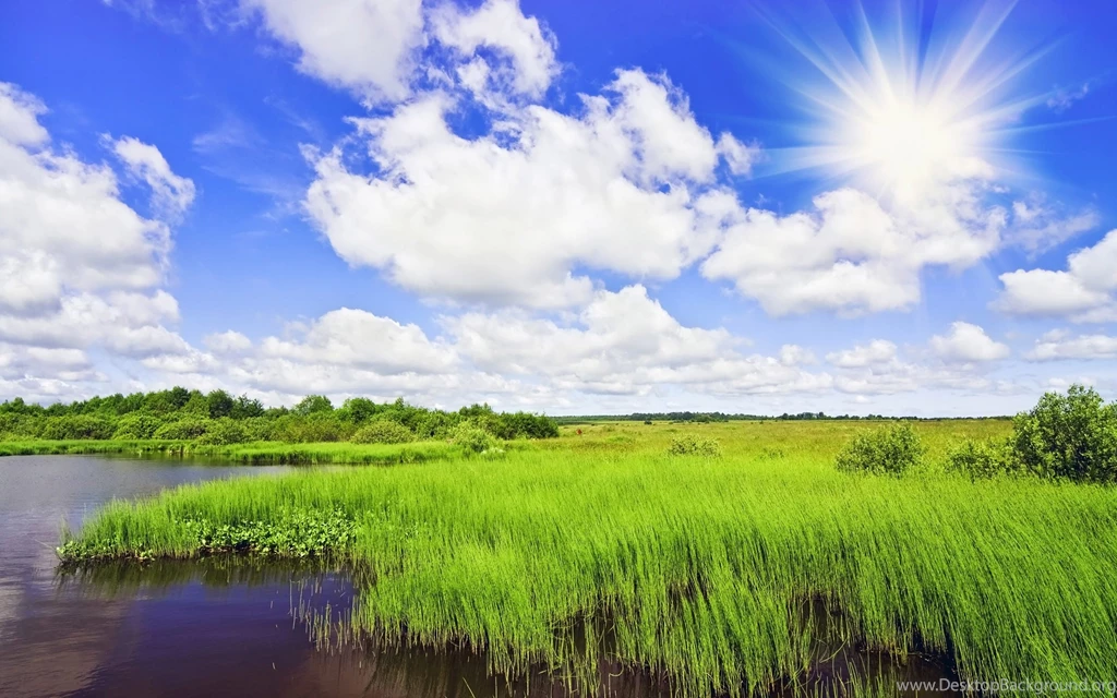 Sunny Images