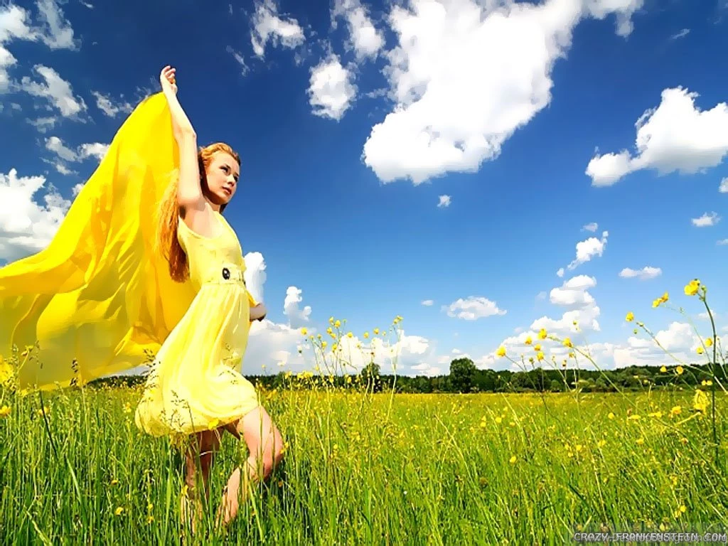 Summer Day Wallpapers Crazy Frankenstein