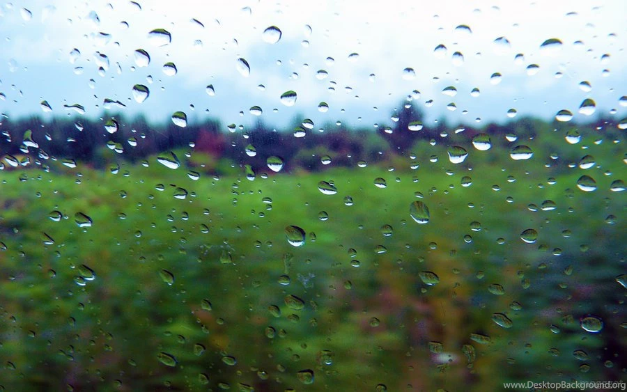 Rainy Day Wallpapers Series 4 Out Of 7 By MOGGGET On DeviantArt