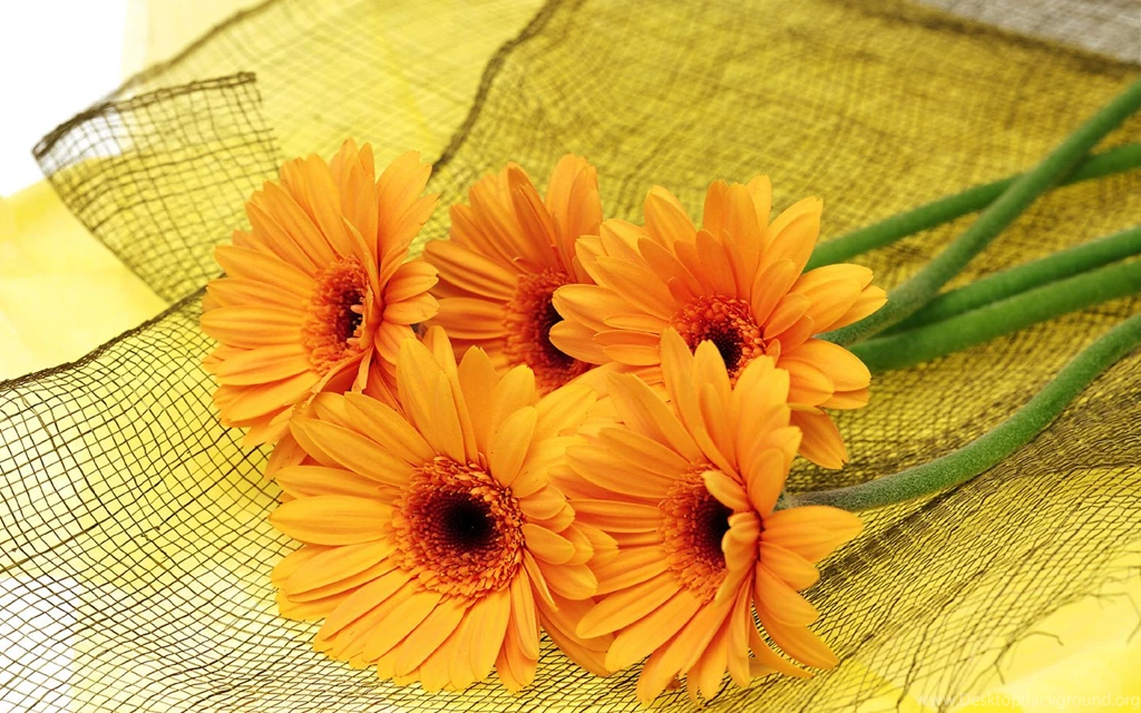 High_resolution_flower_art_wallpapers.jpg