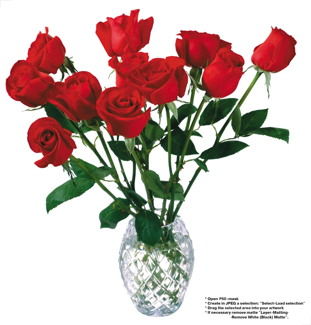 HD Wallpapers: High Resolution Wallpapers   Flowers 41