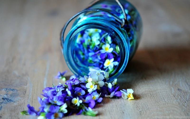 Glass,flowers Flowers Glass Bottles Jar Macro High Resolution ...