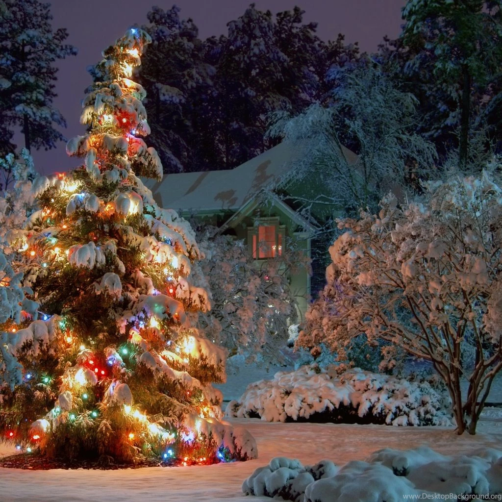 1024x1024 Outdoor Christmas Tree Desktop PC And Mac Wallpapers