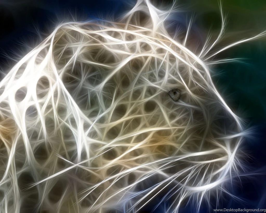 3d Very Beautiful Colourful Tiger Wallpapers For Lcd Desktops – HD ...