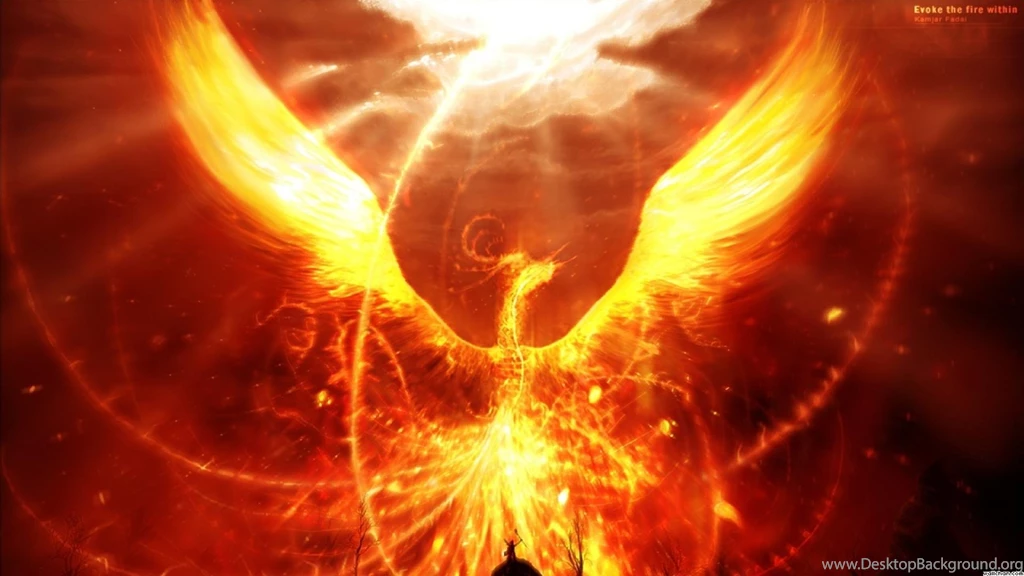 High Resolution Fantasy Fire Bird Phoenix Wallpapers HD 3 Full Size ...
