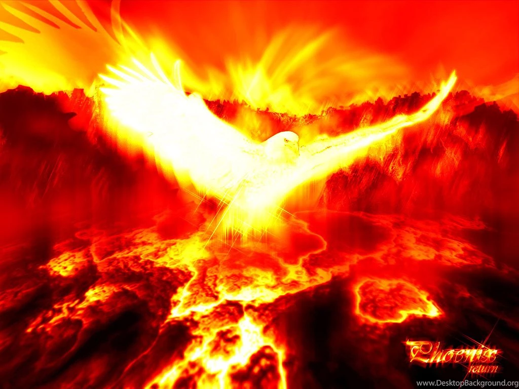 Phoenix Pictures Phoenix Myth Bird Photos Gallery