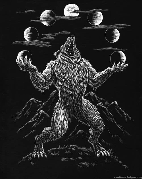 A Depiction Of A Werewolf With The Many Different Moons In The ...