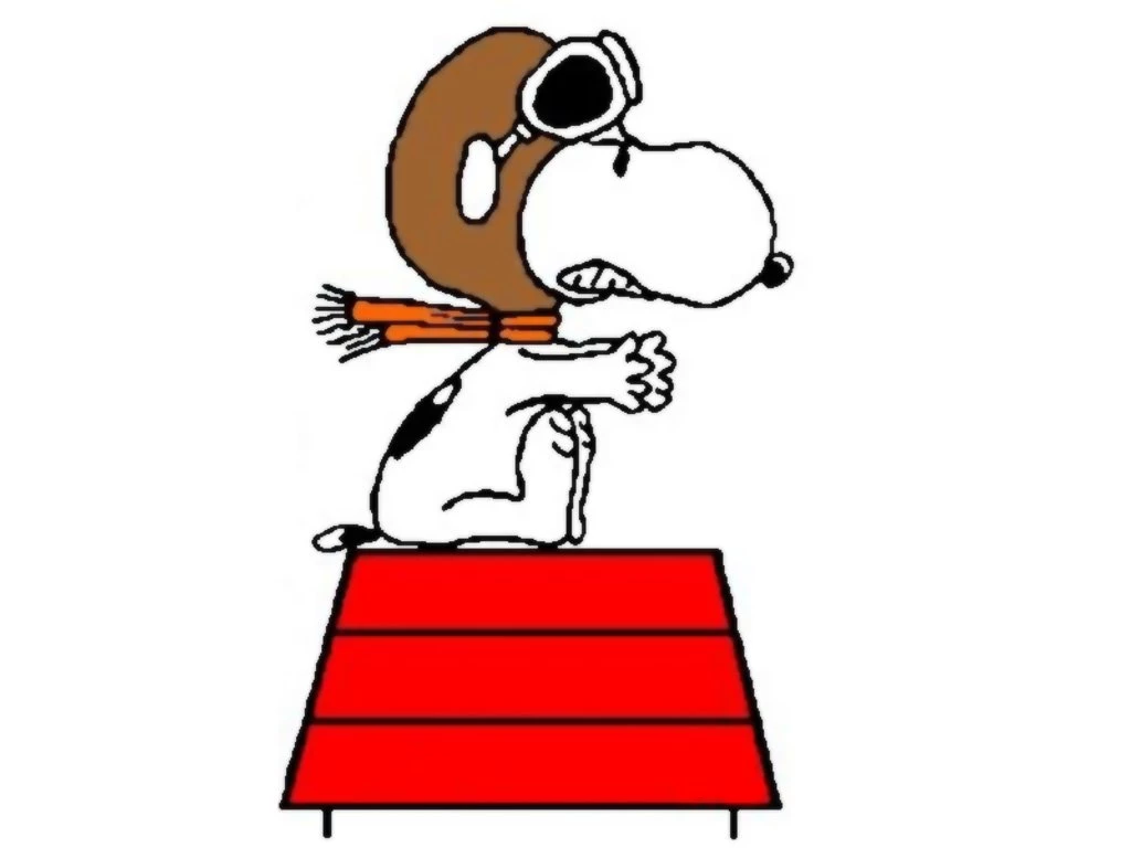Snoopy Peanuts Wallpapers (26798417) Fanpop