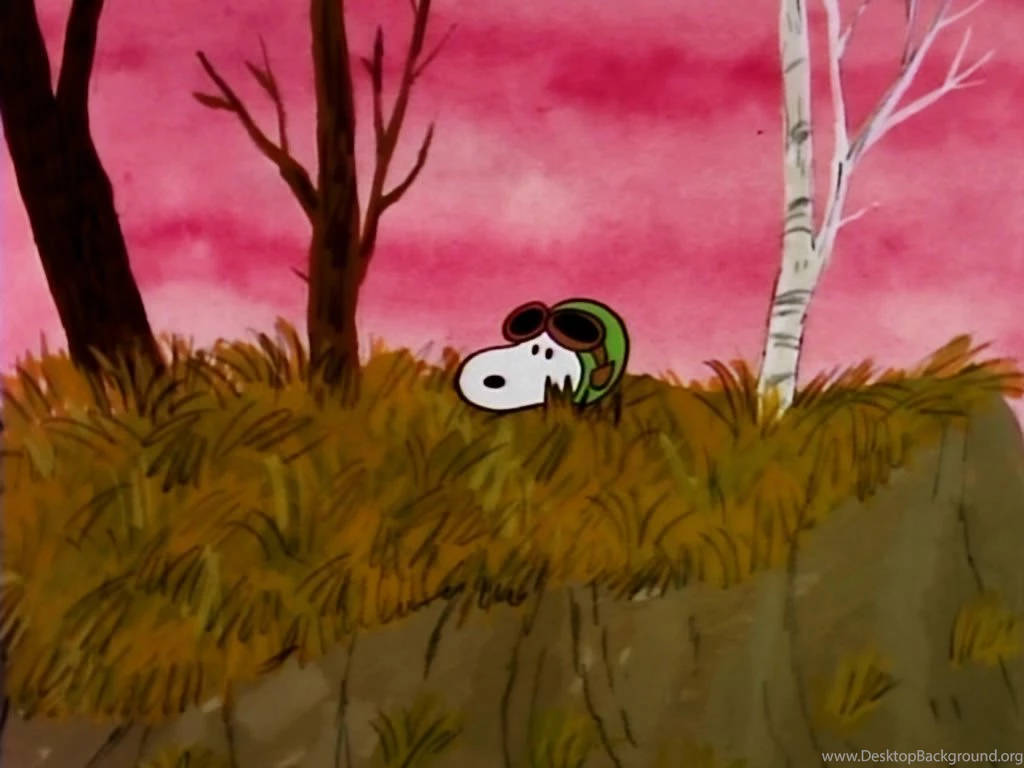Snoopy   Peanuts Wallpapers (26798445)   Fanpop