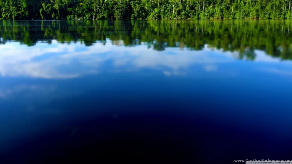 Amazon River Tilt Shift HD Desktop Wallpapers : Widescreen : High ...