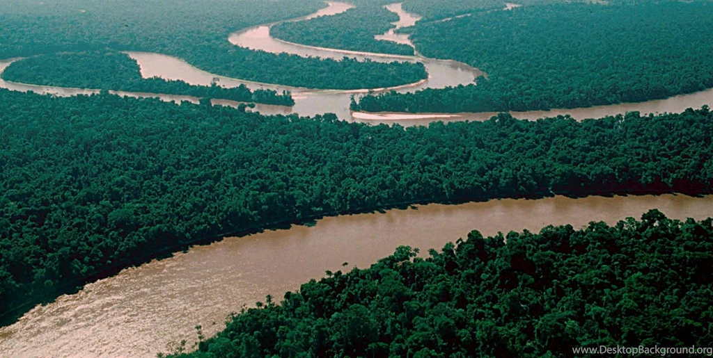 Amazon River 3
