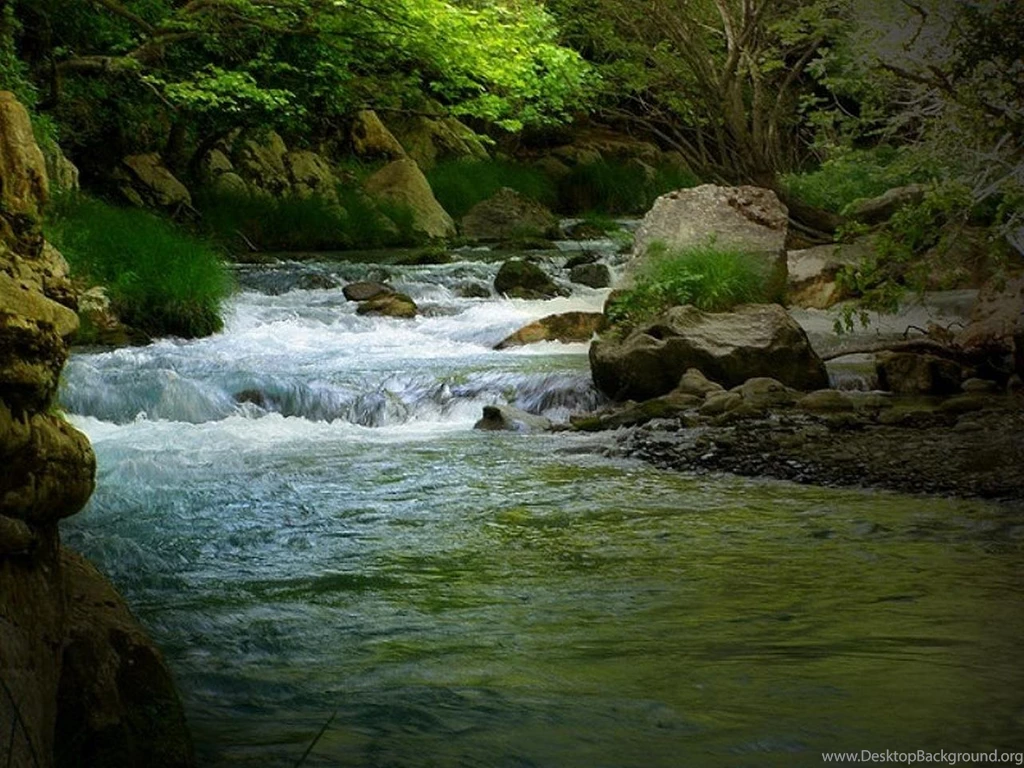 30 Amazon River Wallpapers Pictures