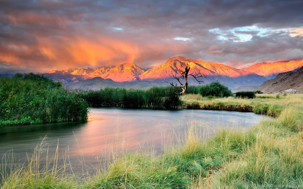 30 Amazon River Wallpapers Pictures