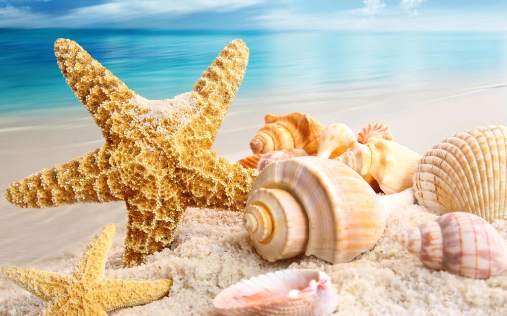 High Resolution Summer Wallpapers Full HD Full Size SiWallpaperHD ...