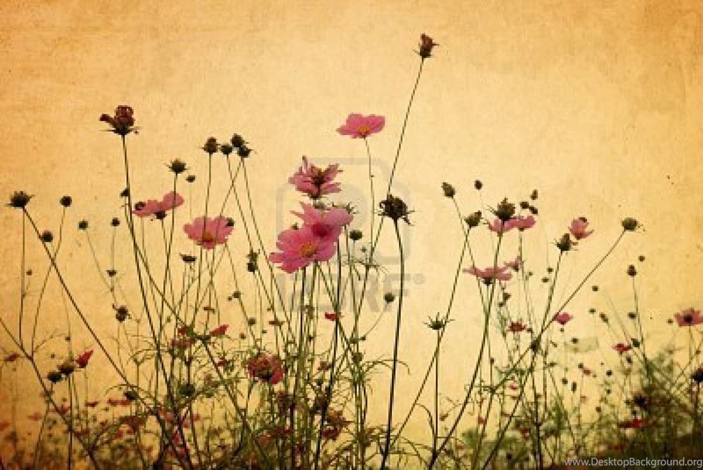 Free_desktop_wallpaper_vintage 003 HD Widescreen Wallpapers