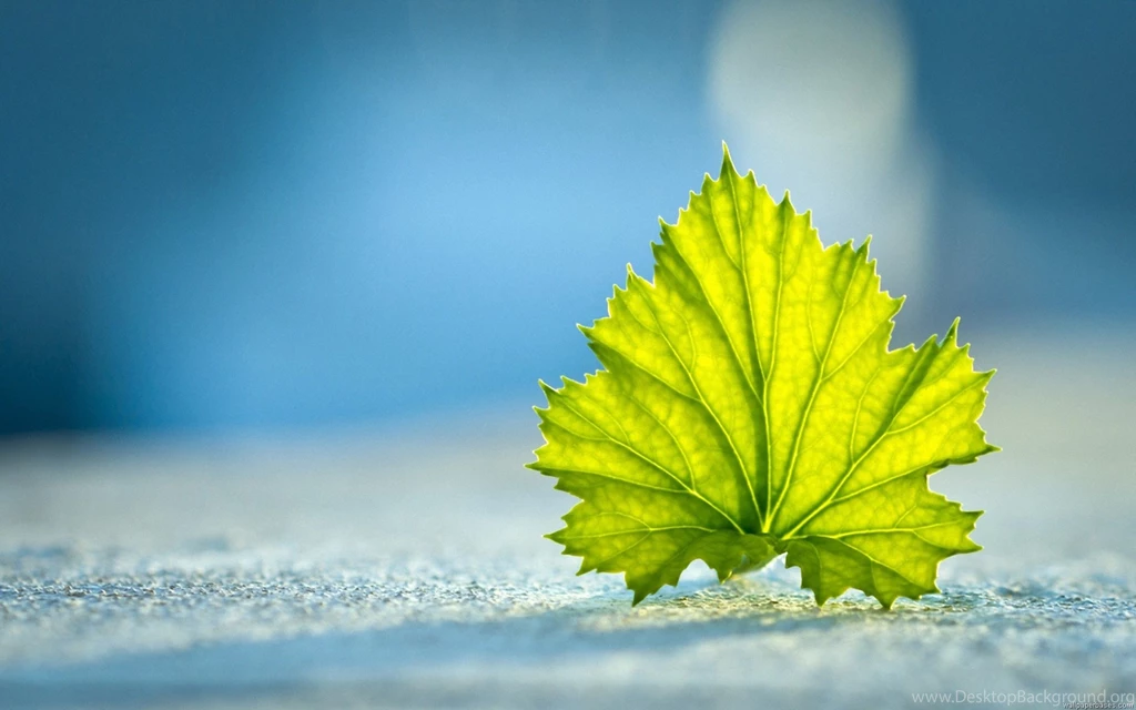 Best Hd Desktop Wallpapers