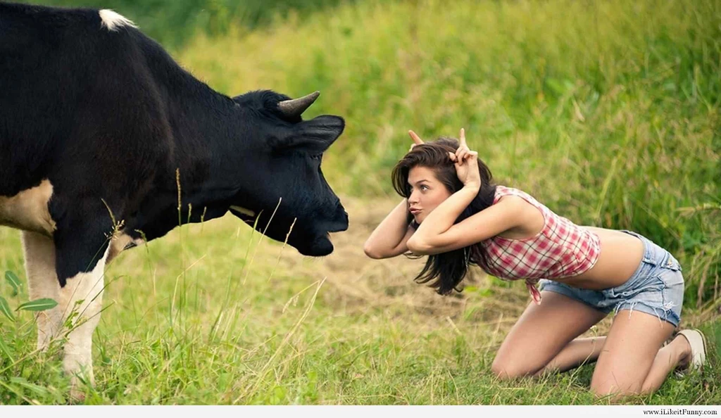 Funny Pictures For Facebook