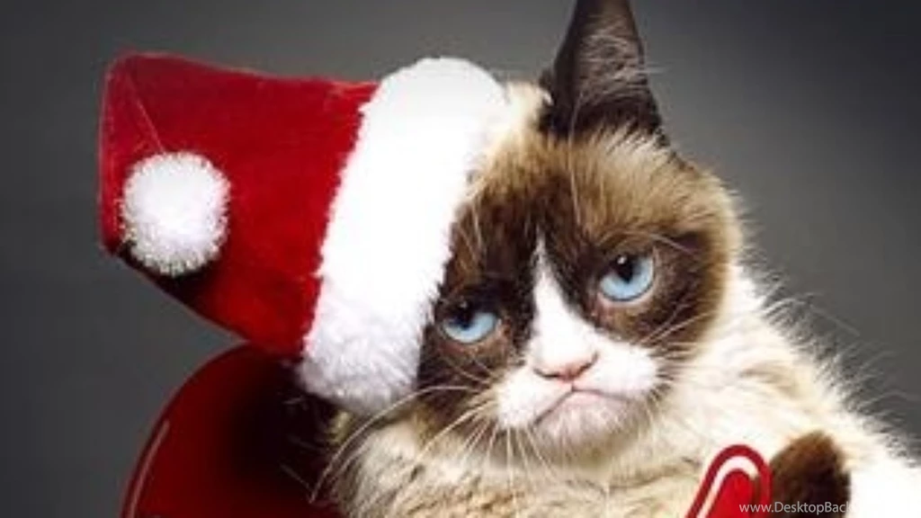 Grumpy Cats Worst Christmas Ever Wallpapers High Resolution