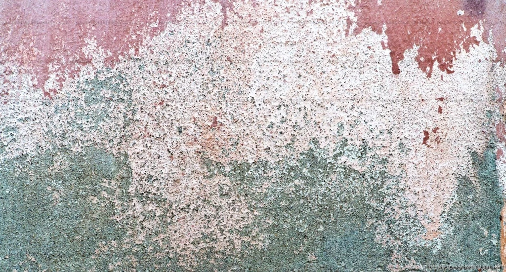 Paint Over Textured Wallpapers