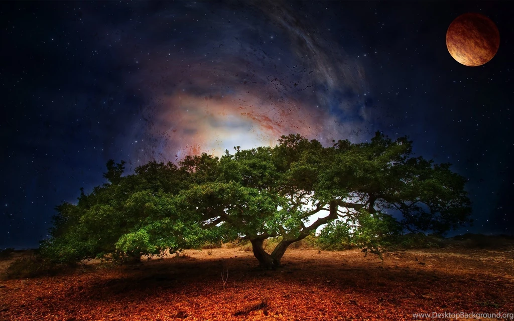 Creative Design, Tree Galaxy Planet Wallpapers