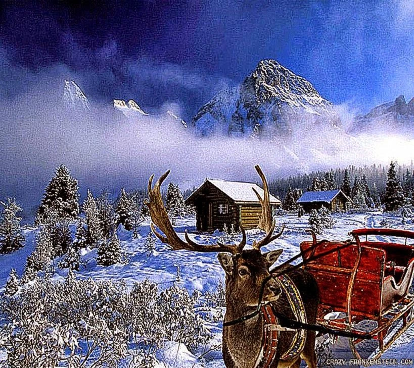 Winter Holiday Scenes Wallpapers