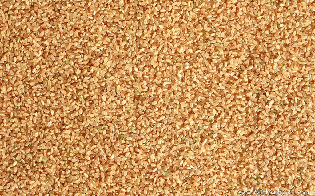 Food Backgrounds - Cate Wallpapers Free Download Wallpapers ...