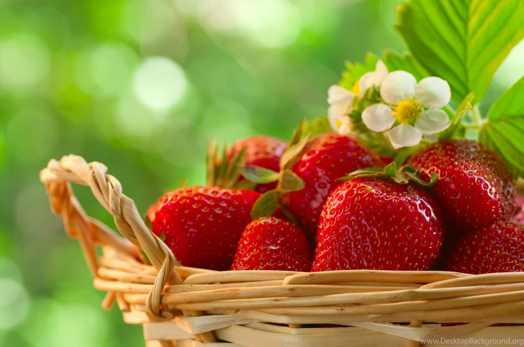 Free Food Wallpapers