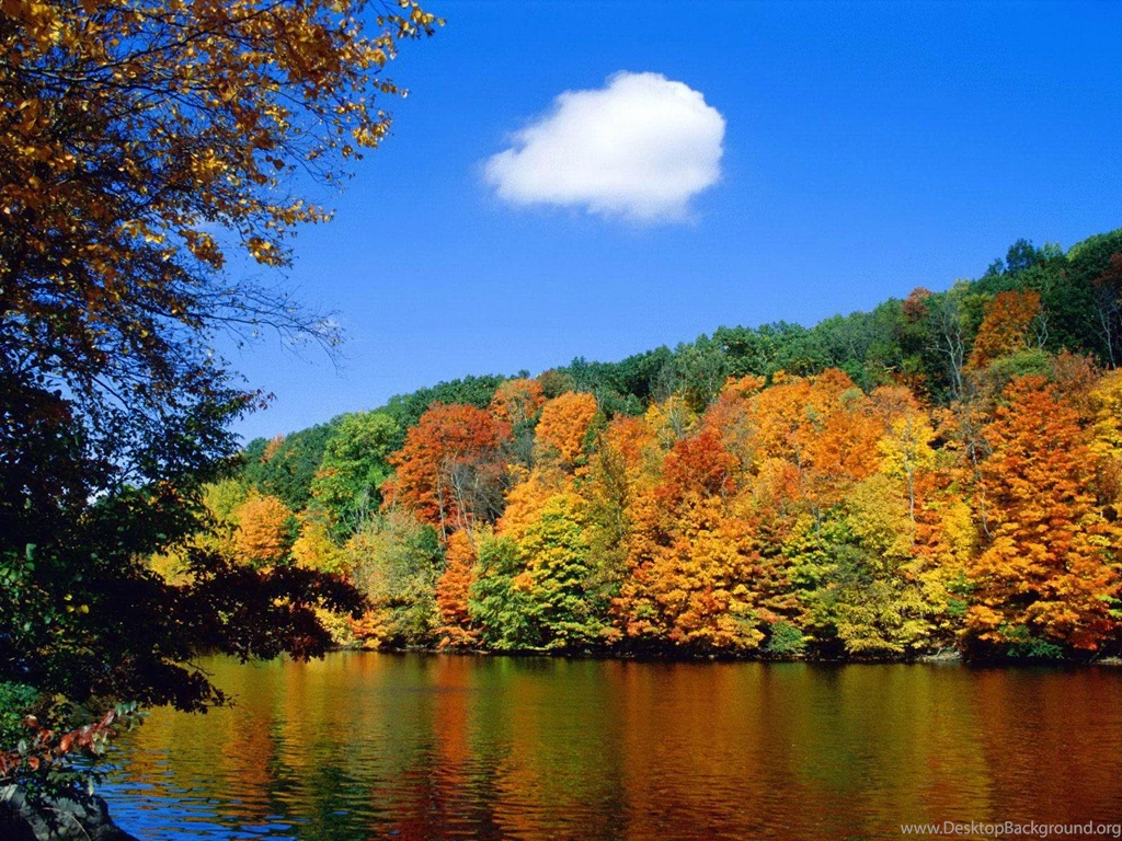 Free Seasonal Desktop Wallpapers   Wallpapers Cave