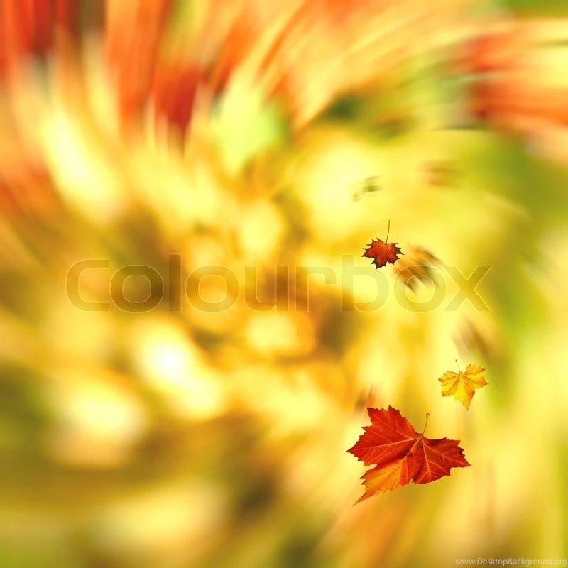 Autumnal Swirl, Abstract Seasonal Backgrounds