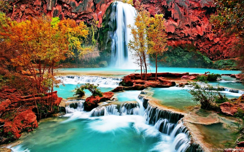 Nature Wallpaper: Beautiful Nature Phone Wallpapers For HD ...