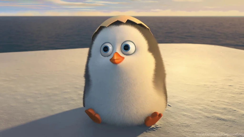 Penguin HD Wallpapers And Pictures