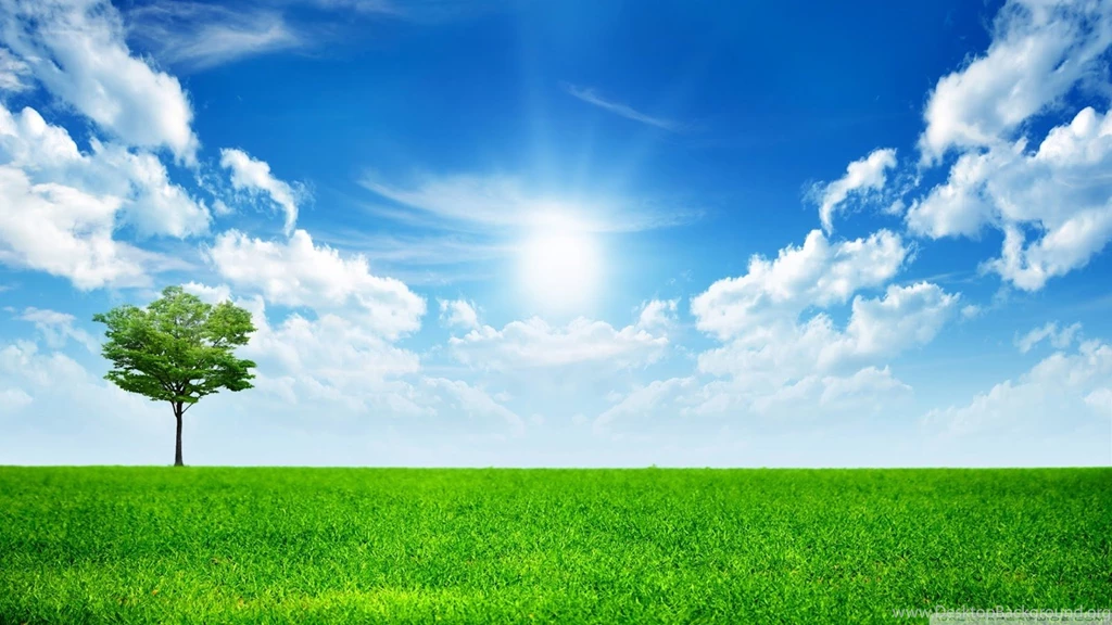 HD Wallpapers